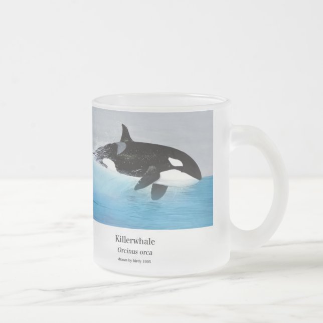 Tasse Givré Killerwhale , Orcinus orca (Droit)