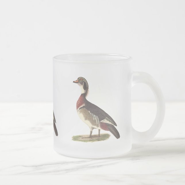 Tasse Givré Le canard à bois (Anas sponsa) (Droit)