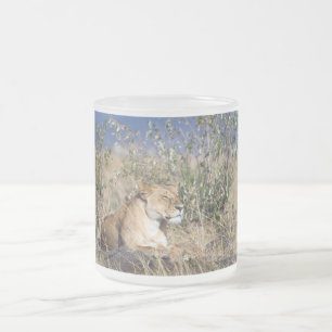 Tasse Givré Lioness resting
