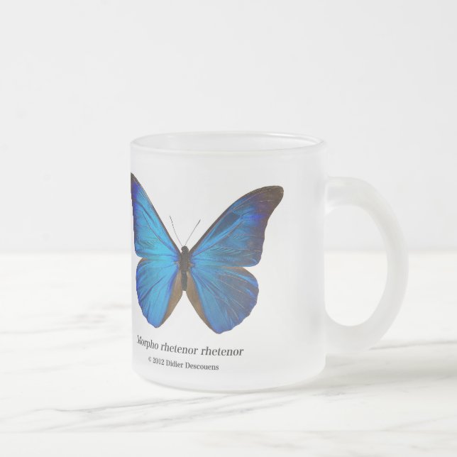Tasse Givré Morpho rhetenor rhetenor (Droit)