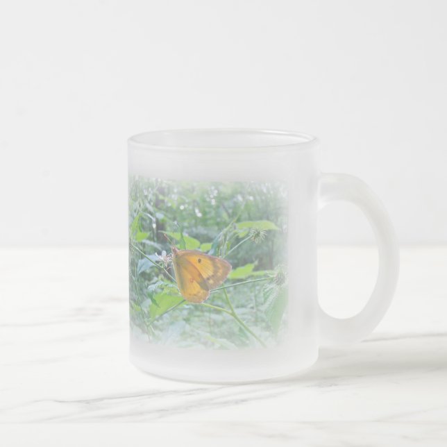 Tasse Givré Papillon sulpher à la périphérie de Woods (Droit)