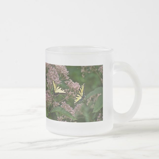 Tasse Givré Papillons à queue de tigre sur Joe Pye Weed (Droit)