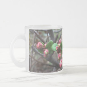 Tasse Givré Premiers bourgeons roses