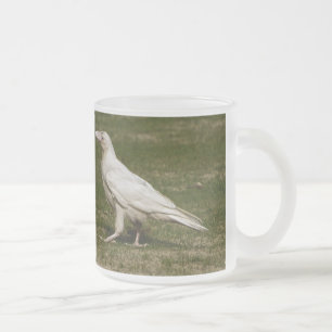 Tasse Givré Rare White Raven Faune Photographie