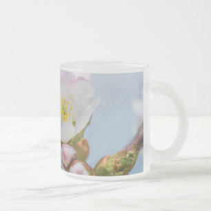 Tasse Givré Sakura Blossom