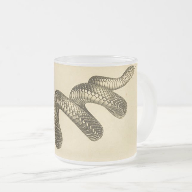 Tasse Givré Serpent noir Vintage (Devant droit)