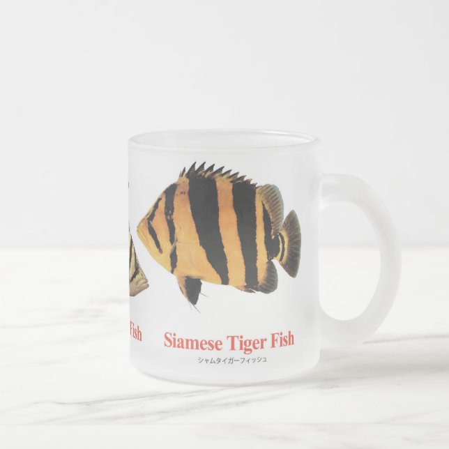Tasse Givré Siamese Tiger fish (Droit)