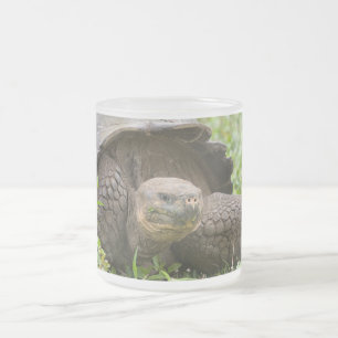 Tasse Givré Tortue géante