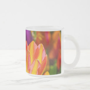 Tasse Givré Tulipes Enchanter 16