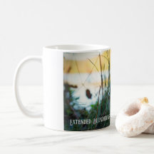 Tasse Grenouille
