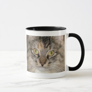 Tasse grise de chat tigré