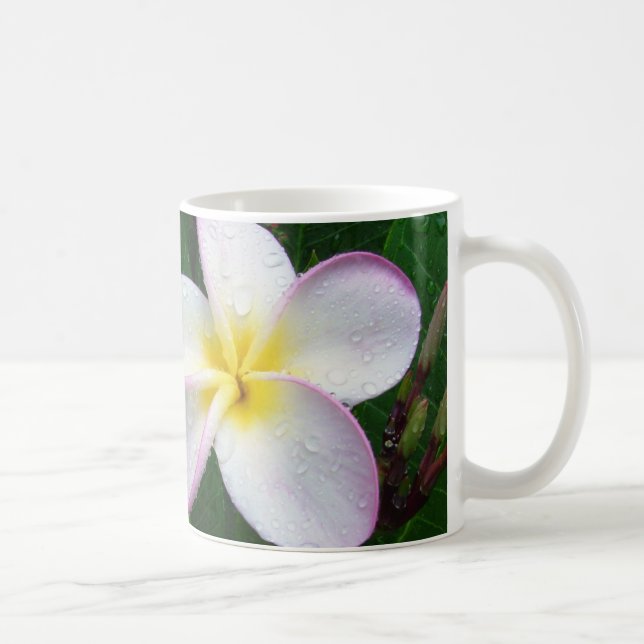 Tasse hawaïenne blanche et pourpre jaune de fleur (Droite)