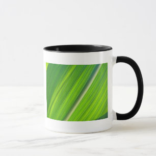 Tasse hellgrünes Maisblattdesign