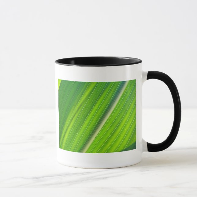 Tasse hellgrünes Maisblattdesign (Droite)