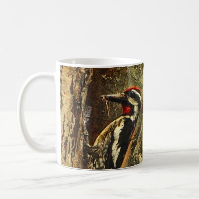 tasse Jaune-gonflée de Sapsucker (Gauche)