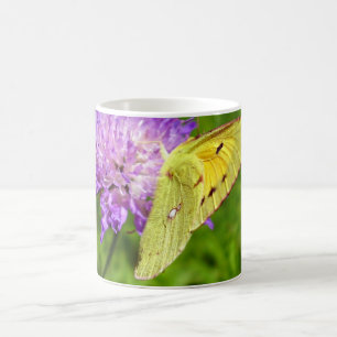 Tasse jaune opacifiée d'insecte de papillon