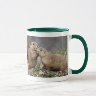 Tasse Kiss me Quick