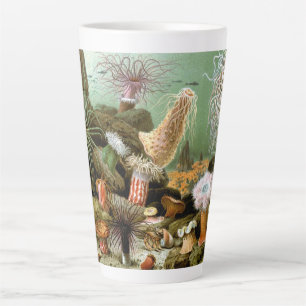 Tasse Latte Anémones de mer, Vie marine Vintage Animaux de l'o