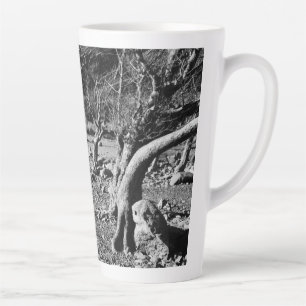 TASSE LATTE ARBRES NOIRS ET BLANCS