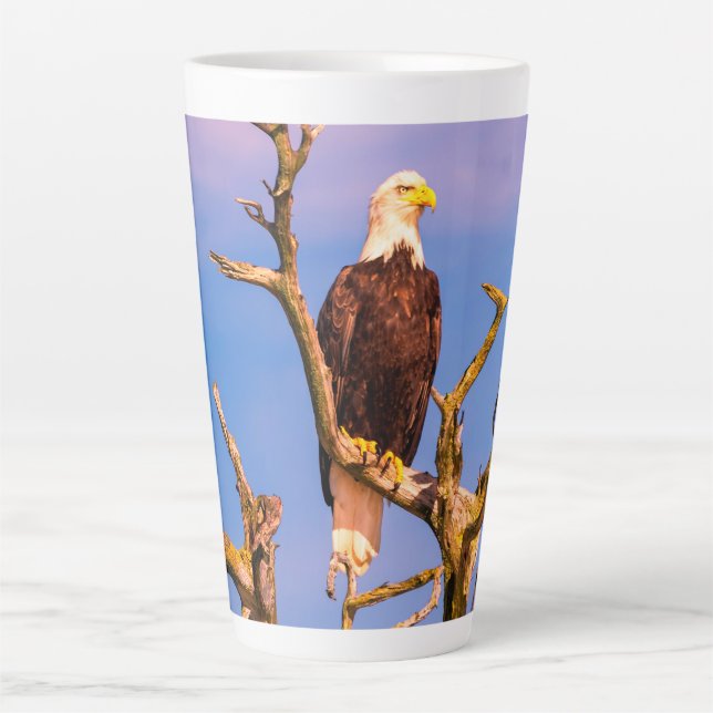 Tasse Latte Bald Eagle, Southern Gulf Islands, BC (Devant)
