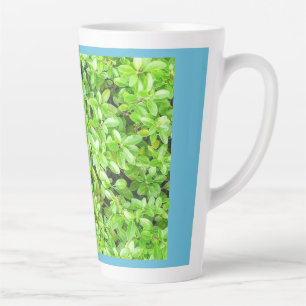 Tasse Latte Café en latte