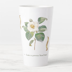 Tasse Latte Camellia japonica 'Alba Plena' 