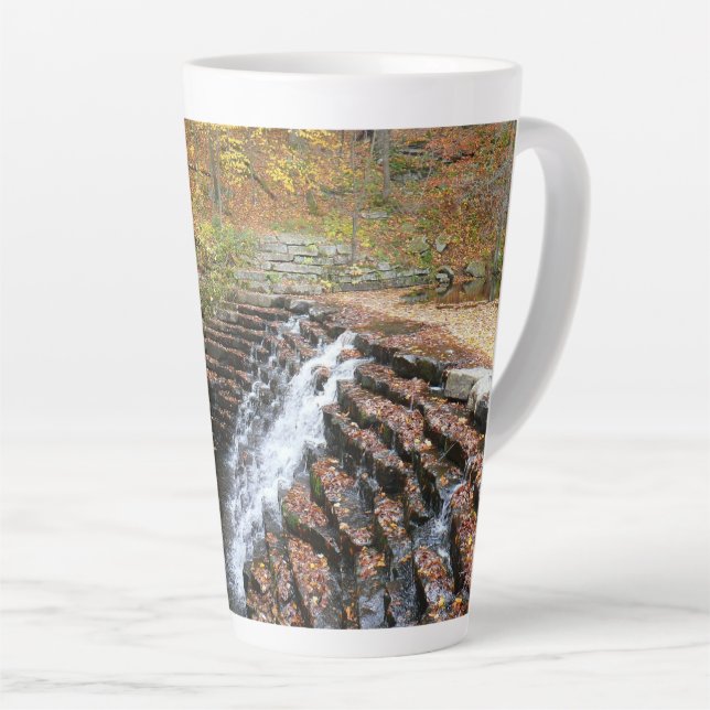 Tasse Latte Cascade à Laurel Hill State Park II (Angle droit)
