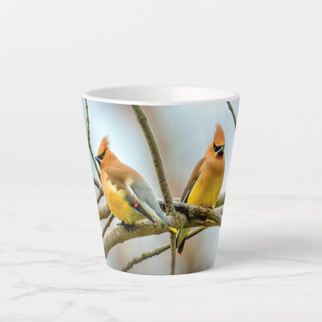 Tasse Latte Cèdre - Photographie originale (Devant)
