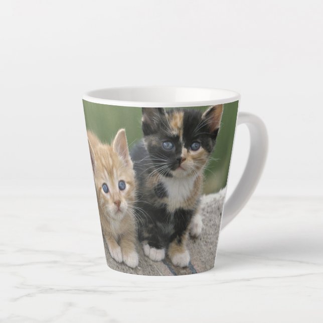 Tasse Latte Chatons de grange sur une couverture de cheval (Angle droit)