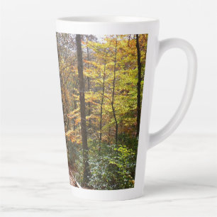 Tasse Latte Chute Sunlit dans le parc national de Laurel Hill