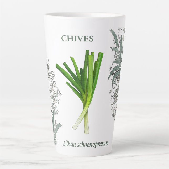 Tasse Latte Ciboulette — Allium schoenoprasum (Devant)