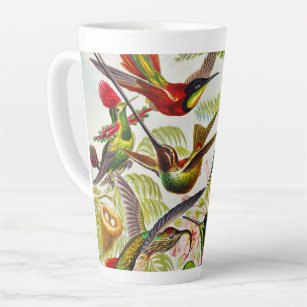 Tasse Latte Colibri Vintage par Ernst Haeckel