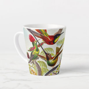 Tasse Latte Colibri Vintage par Ernst Haeckel