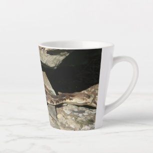 Tasse Latte Crotale dans le parc national de Shenandoah
