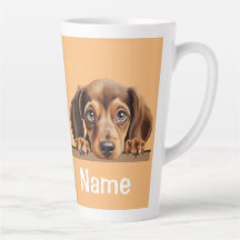 Dachshund Chien Chien Chien Animaux de compagnie C