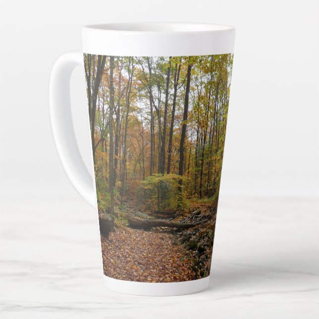 Tasse Latte Fall Creek à Laurel Hill State Park Pennsylvanie (Angle gauche)