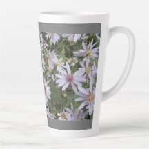 fleur sauvage de l'aster mauve pâle en latte