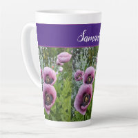Fleurs de pavot rose pourpre Pavot Pavois Fleur fl