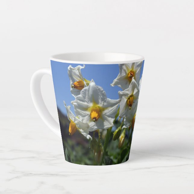 Tasse Latte Fleurs étoilées Solanum tuberosum (Angle gauche)
