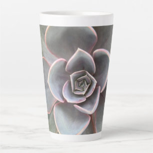 Tasse Latte Green Echeveria Fermer