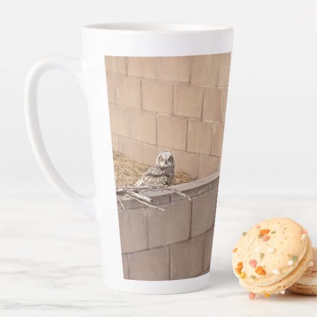 Tasse Latte 🦉 hibou (En situation)