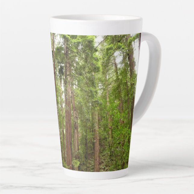 Tasse Latte Jusqu'à Redwoods I au monument national de Muir Wo (Angle droit)