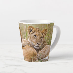 Tasse Latte Lionceaux se prélassant