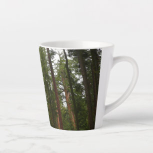 Tasse Latte Mariposa Grove dans le parc national de Yosemite