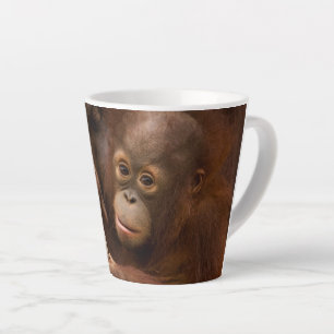Tasse Latte Mère orang-outan et bébé au zoo