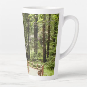 Tasse Latte Muir Woods Chemin I Nature Photographie