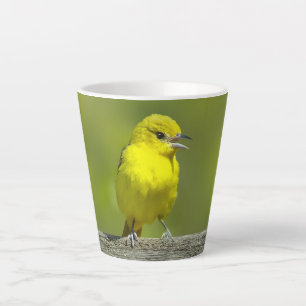 Tasse Latte Orchard Oriole - Photo originale