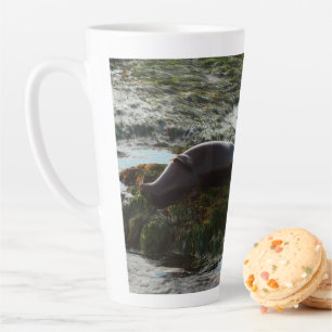 Tasse Latte Phoque de bassin illuminé par le coucher de soleil