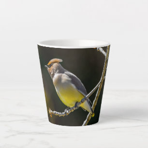 Tasse Latte Photographie originale d'oiseau sauvage de Jaseur