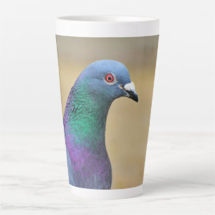 Tasse Latte pigeon Plume Colorée Oiseau Photographie Portrait